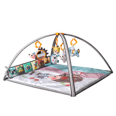 Baby Play Gym / TM263