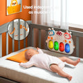 Baby Play Gym / TM221